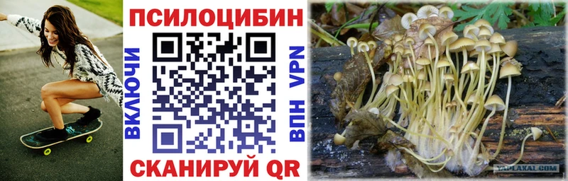Галлюциногенные грибы Cubensis  где купить   Сорочинск 