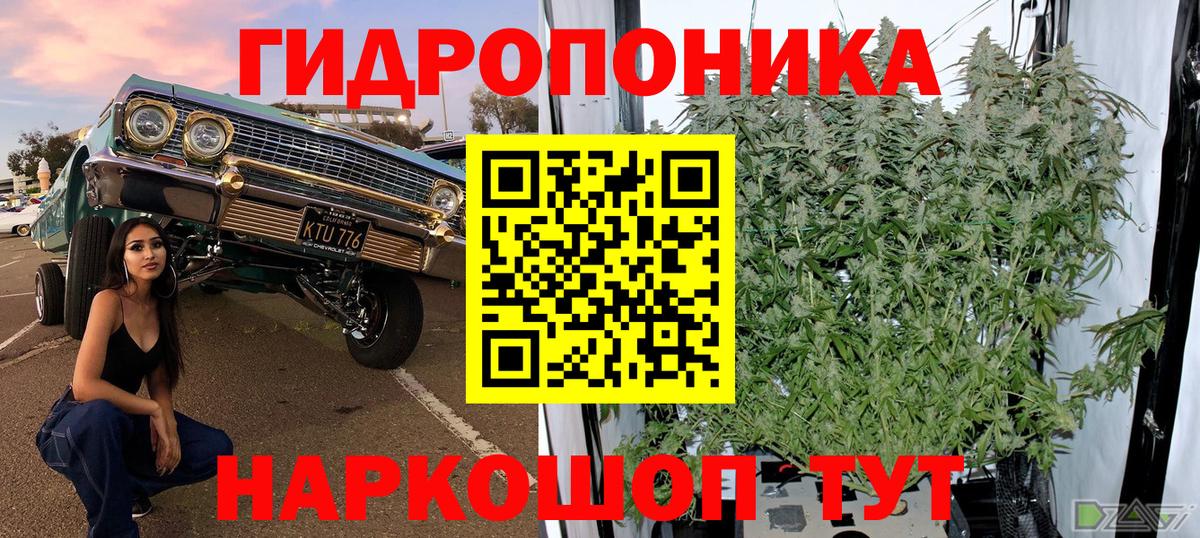 Сорочинск  Бошки Шишки семена  Бошки марихуана конопля  Марихуана план  Вход с VPN  Шишки марихуана план 